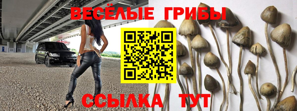 Галлюциногенные грибы GOLDEN TEACHER Ханты-Мансийск